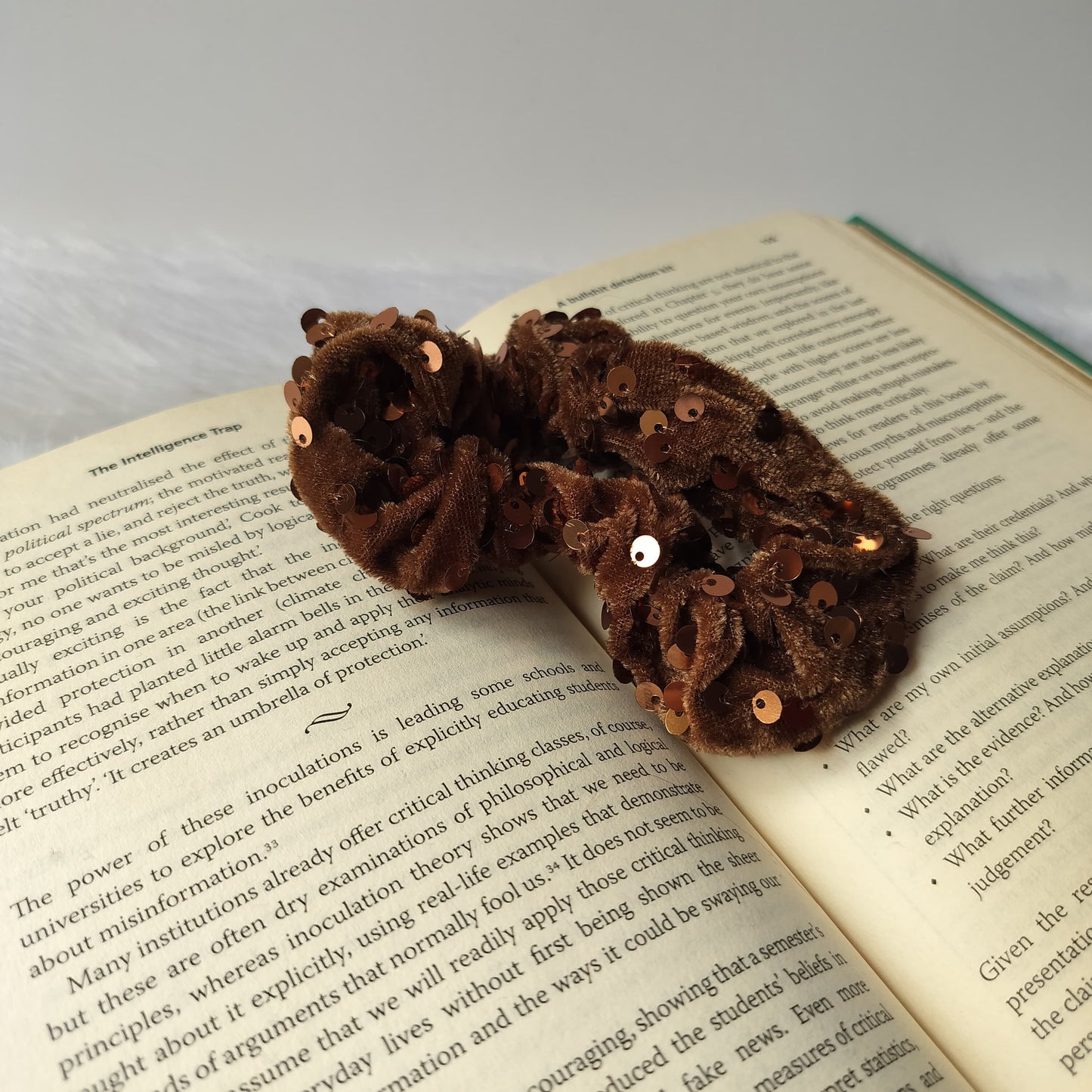 Scrunchy Velvet Sequin Embellished (Pack of 2)