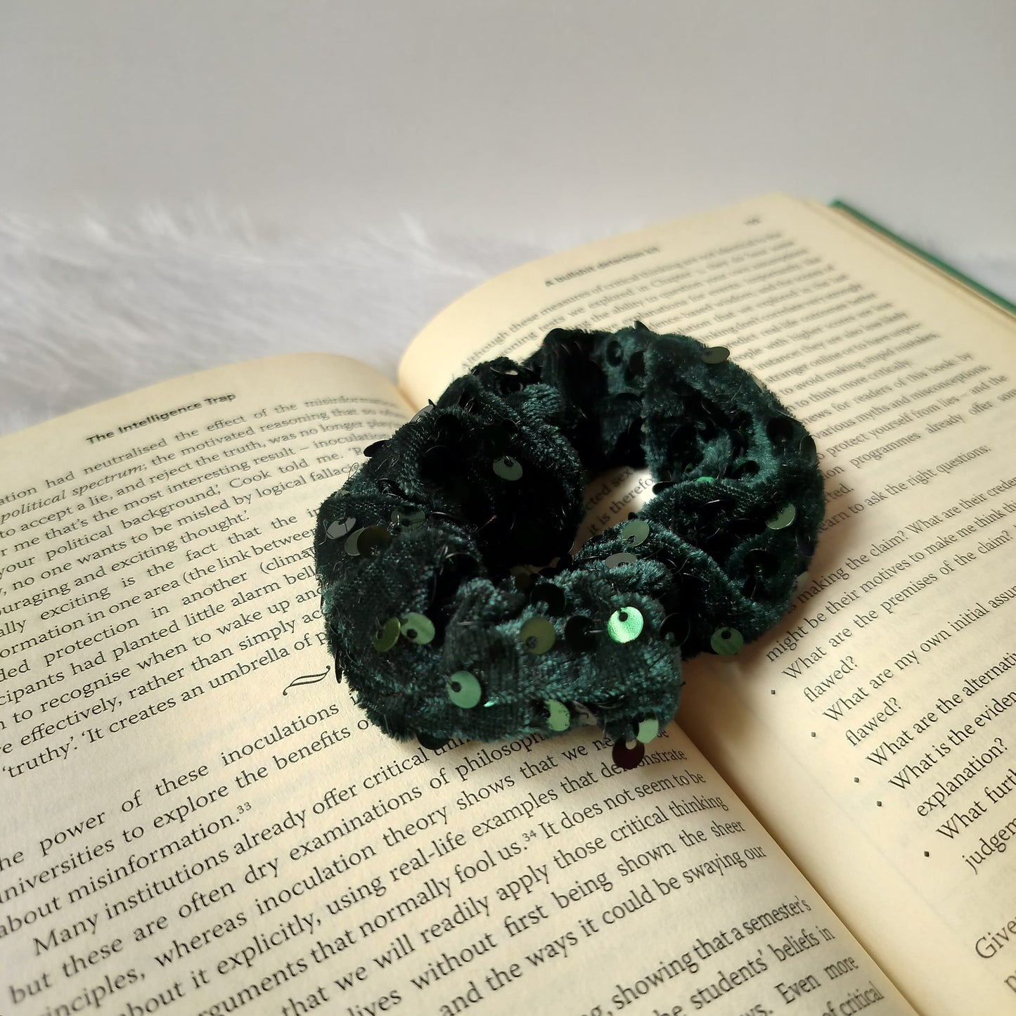Scrunchy Velvet Sequin Embellished (Pack of 2)