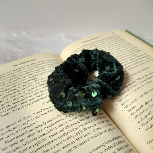 Scrunchy Velvet Sequin Embellished (Pack of 2)