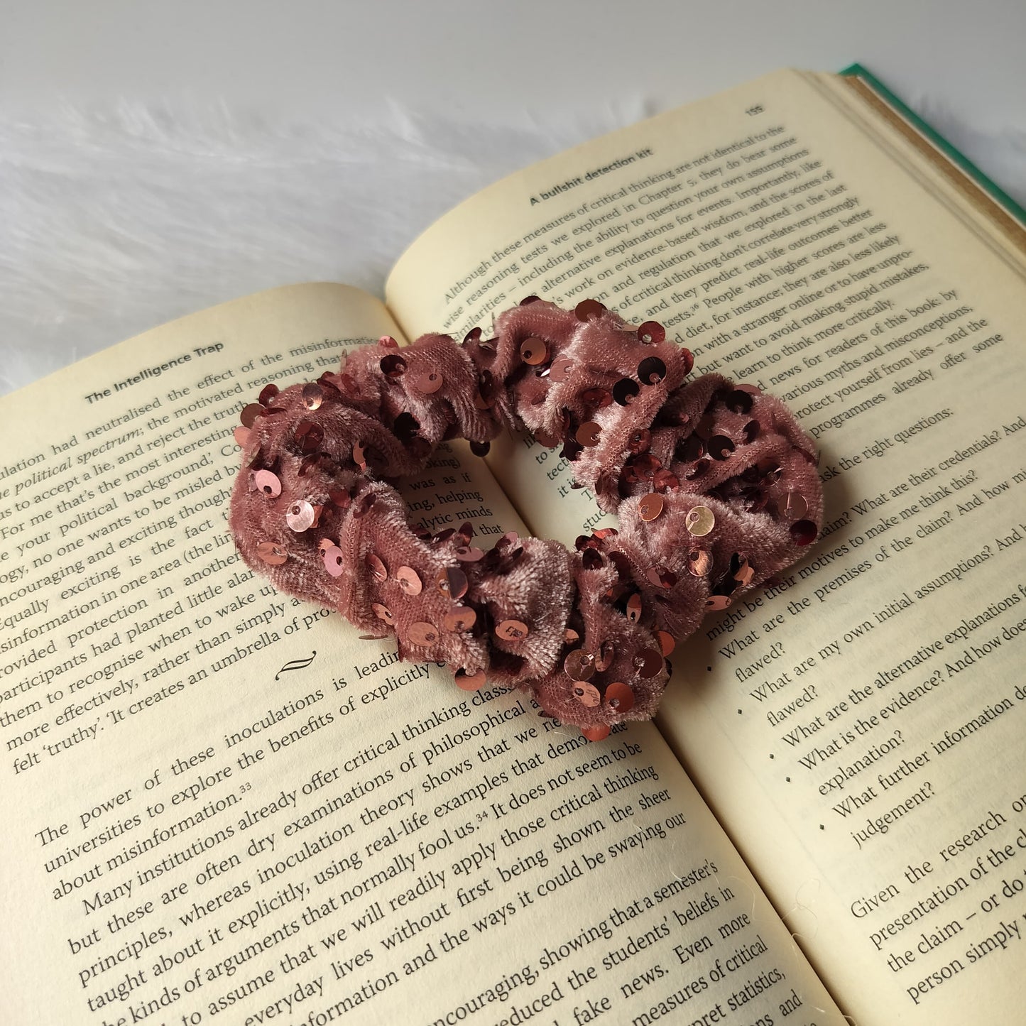 Scrunchy Velvet Sequin Embellished (Pack of 2)